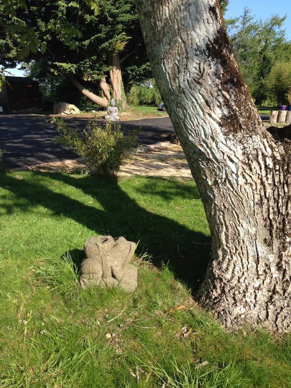 לינה וארוחת בוקר Nostang Le Domaine De Saint-Thomin מראה חיצוני תמונה